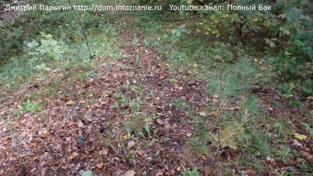 Заброшенная военная база и бункеры рядом с Ульяновском: поездка на мотоцикле смотреть онлайн