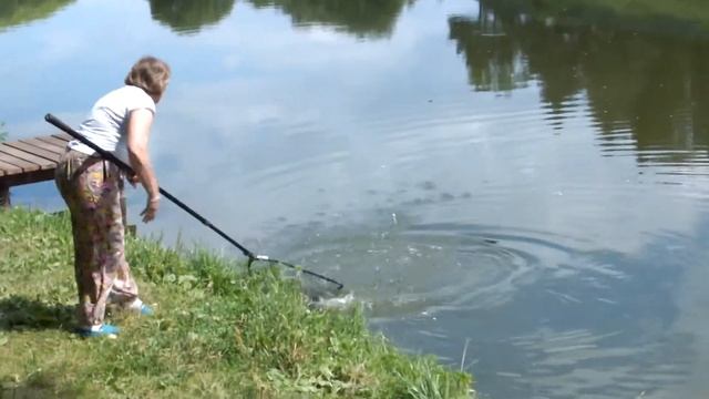 Вывод карпа 4,95кг смотреть онлайн