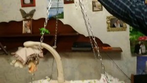 Подвесная люлька для младенцев то 0 до 6 месяцев