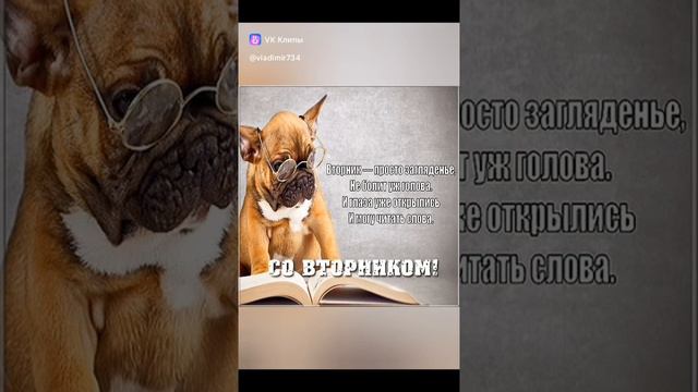 доброе утро вторник  !