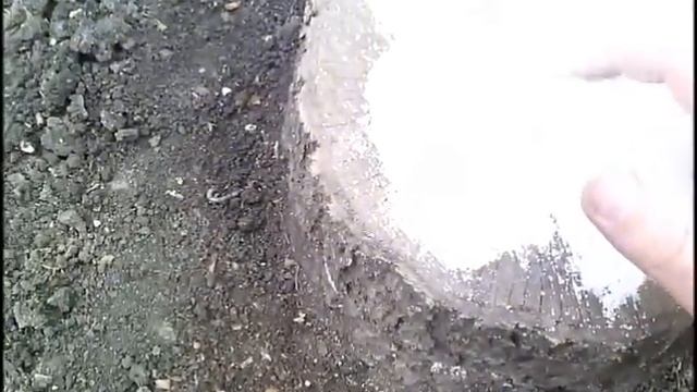 Как убрать пень химическим способом