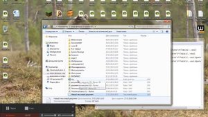 что делать если все exe файлы открываются через виндоус медиа центр?