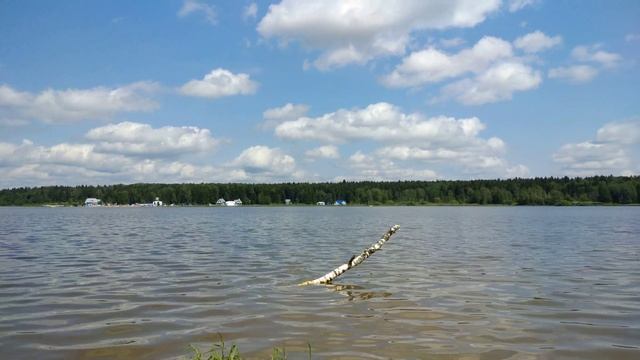 Торбеевское озеро 20.06.2020 смотреть онлайн