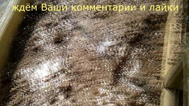 Как подготовить грунт в грядку, для томатов, перцев, баклажанов и других культур? Чем их заправить? смотреть онлайн