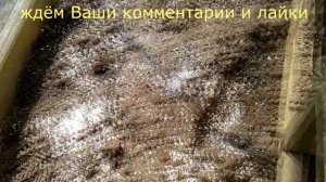 Как подготовить грунт в грядку, для томатов, перцев, баклажанов и других культур? Чем их заправить?