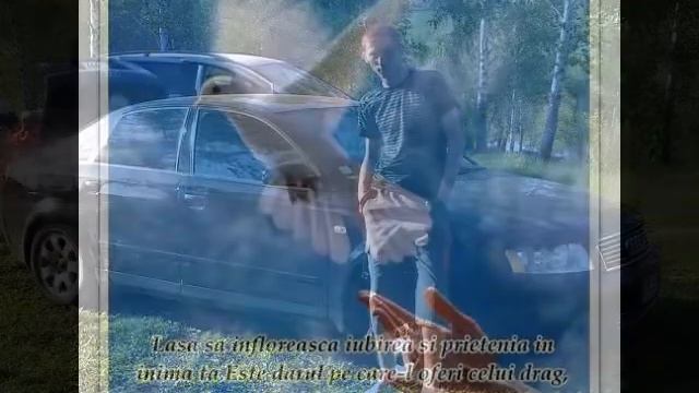 Camelia & Denis смотреть онлайн