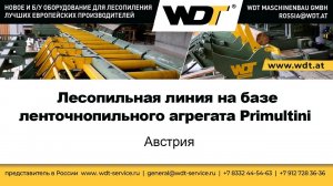 Линия на базе ленточнопильного агрегата Primultini. WDT Maschinenbau GmbH, Австрия