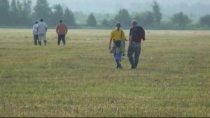 430. (23) Шотландский сеттер Купер.