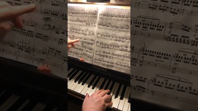 Beethoven Sonata op.13 Pathétique II- 1 Соната 8 Патетическая_ пульс, артикуляци.mp4