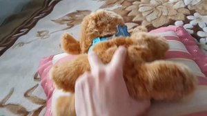 Щенок моей мечты - Little live pets Snuggles
