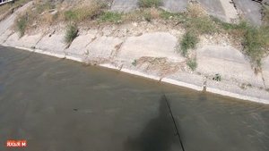 Ловля усача на течений, река Ярык-Су. Город Хасавюрт.
