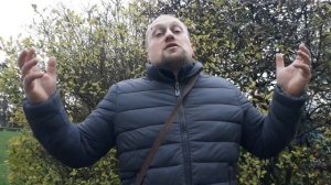 Какая собака лучше подходит для охраны дома??? Кангал, Алабай или Кавказская Овчарка???