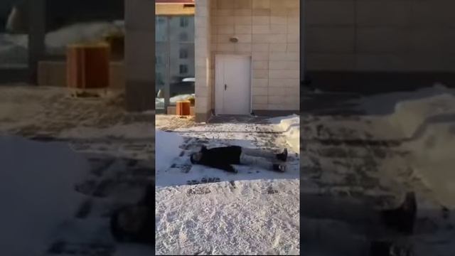 Когда не работает лифт смотреть онлайн