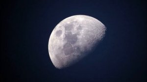 Стрелец в год Лошади - характер