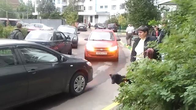 Поречная 9. Пробка около подъезда смотреть онлайн