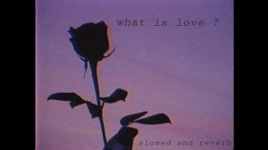 What is love (slowed and reverb)