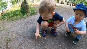 База отдыха «Семь Озёр»