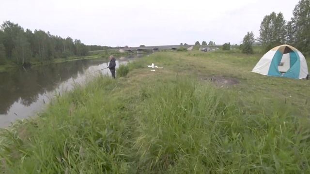 Патерностер! Рыба на каждом забросе! Рыбалка на легкий фидер (пикер) на реке