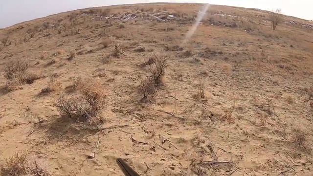 ОХОТА НА ЗАЙЦА и ФАЗАНА. Первый выезд в сезоне 2021-2022 смотреть онлайн