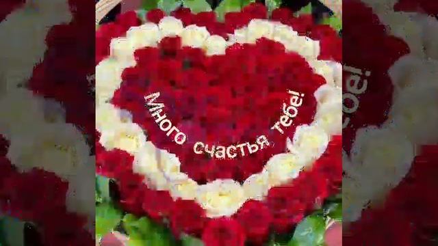 С Днём рождения, Рабия!