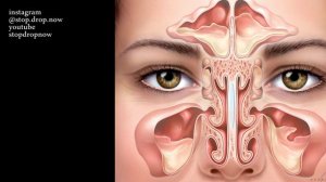 Авторская медитация для свободного дыхания носом