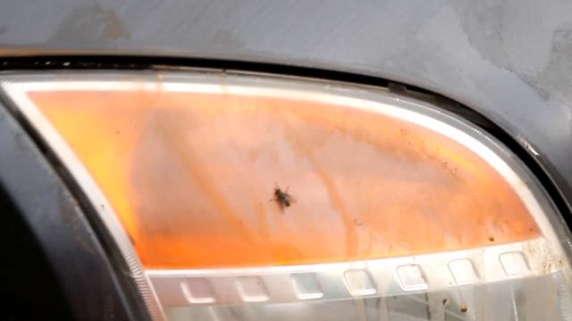 ЧТО БУДЕТ ЕСЛИ ПОМЫТЬ МАШИНУ: КОКА КОЛА , ФАНТА , СПРАЙТ смотреть онлайн