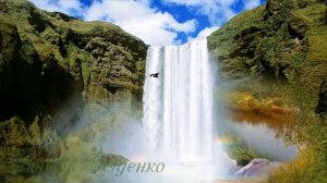 Безумный мир