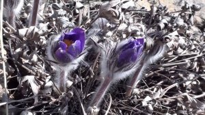 Поход по Уралу 2014 часть1