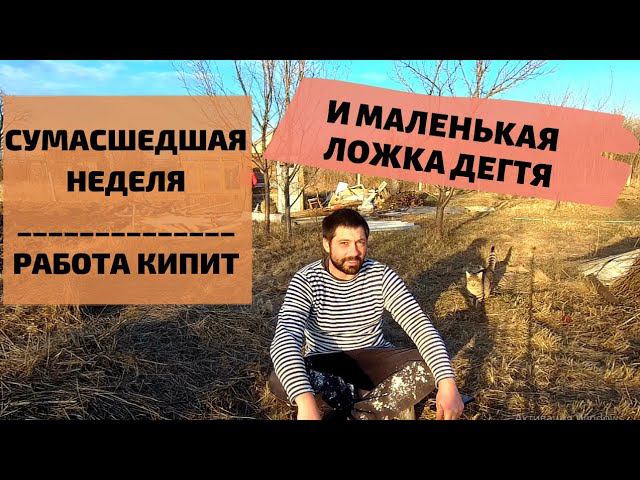 ПЕРЕЕЗД В ДЕРЕВНЮ | РЕМОНТ УБИТОГО ДОМА #купилдомвдеревне #переездвдеревню #ремонтубитогодома #хутор