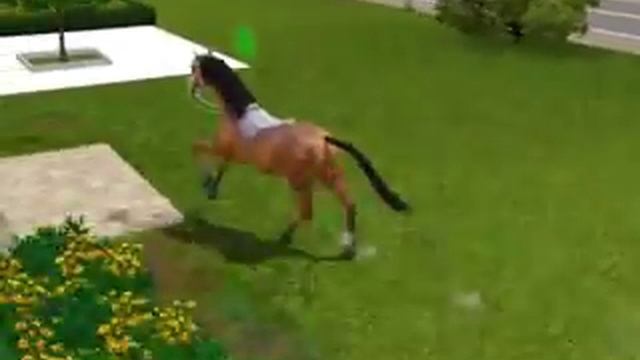 Sims 3 latest patch gallop issue смотреть онлайн