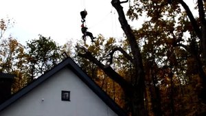 Арбористика. Самара. Спил сложного дерева.