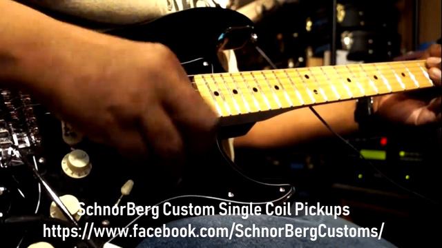 schnorberg custom single coil pickups смотреть онлайн