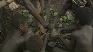 Vanuatu Travel Doc Part 06