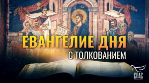 «БУДЕТЕ НЕНАВИДИМЫ ВСЕМИ ЗА ИМЯ МОЕ» / ЕВАНГЕЛИЕ ДНЯ