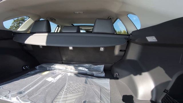 2020 Toyota RAV4 XLE Premium Walkaround and Virtual Test Drive смотреть онлайн