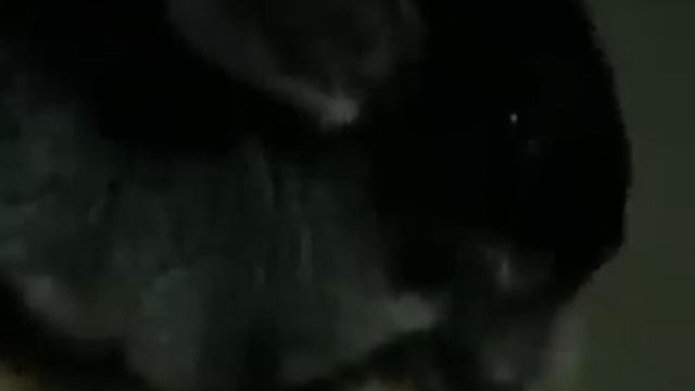 Малышка познаёт мир смотреть онлайн