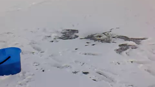 Приколы на рыбалке