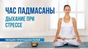 Час падмасаны. Дыхание при стрессе. Александра Штукатурова