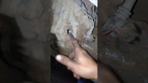 Лексус 470 меняем масло на раздатке