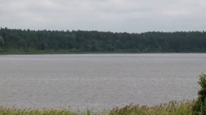 Усадьба князя Львова (Усадьба "Боровое")