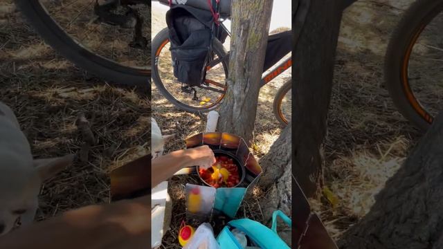 Всё не по плану! 80 км на велосипедах.Моздок-Галюгай. смотреть онлайн