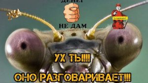 УХ, ТЫ!!! ОНО РАЗГОВАРИВАЕТ...
