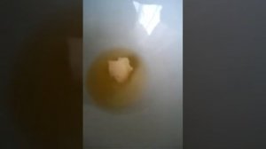 Топим жир нутрии.?фу ваняет...