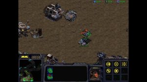 1V1 Terran vs Zerg, lost temple, STARCRAFT 1998,