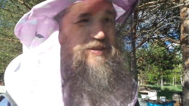 С чего начинается пасека? (Ольга Талалушкина) смотреть онлайн