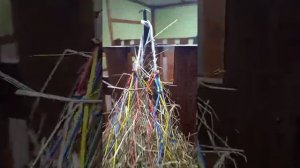 правила крепления рептуха