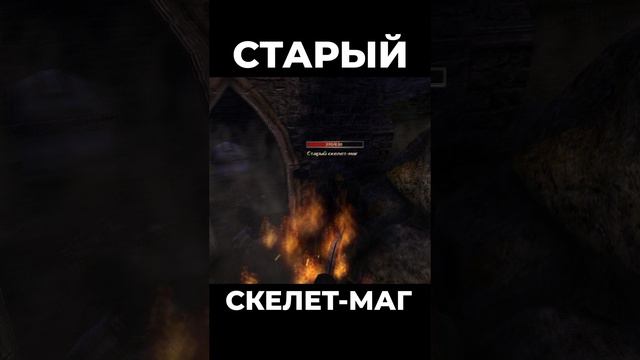 Хроники Миртаны: Архолос ➤ Старый Скелет-Маг #shorts #gothic2 #готика2 #архолос #archolos