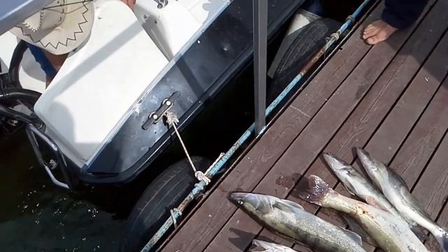 Активный пятидневный семейный отдых и РЫБАЛКА В АСТРАХАНИ СЕНТЯБРЬ 2019 смотреть онлайн