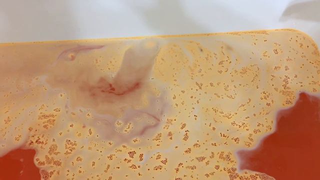 Bathinity - Blood Orange bath bomb
