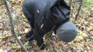 В лес по ГРИБЫ! Хотя и ГРИБНИКОВ ПОЛНО но ВСЁ ЖЕ МЫ НАШЛИ ГРИБЫ!